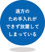 遠方のため手入れができず放置してしまっている